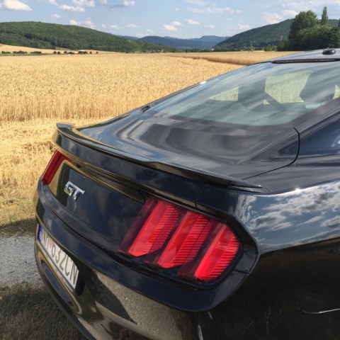 Ford Mustang 4