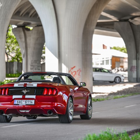 Mustang Cabrio 3