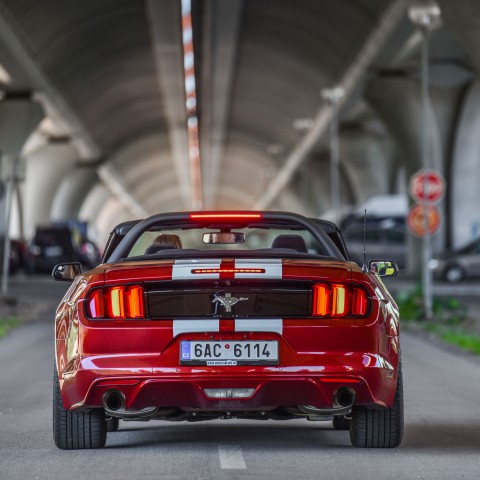 Mustang Cabrio 2
