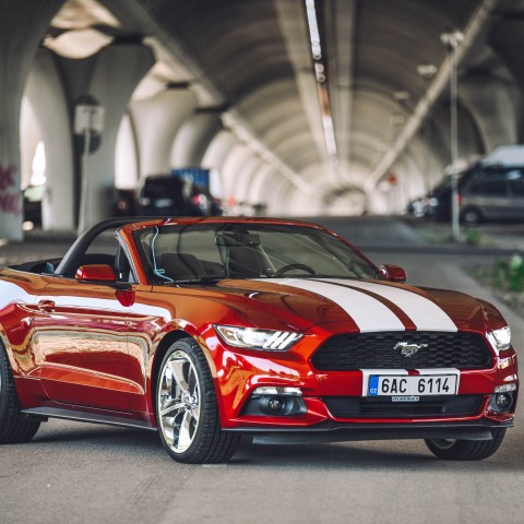 Mustang Cabrio 1