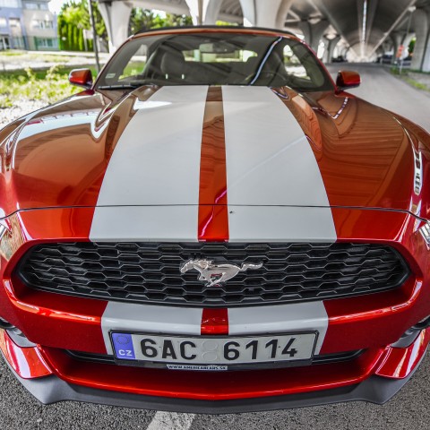 Mustang Cabrio 4