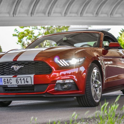 Mustang Cabrio 11