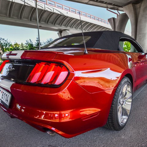 Mustang Cabrio 12